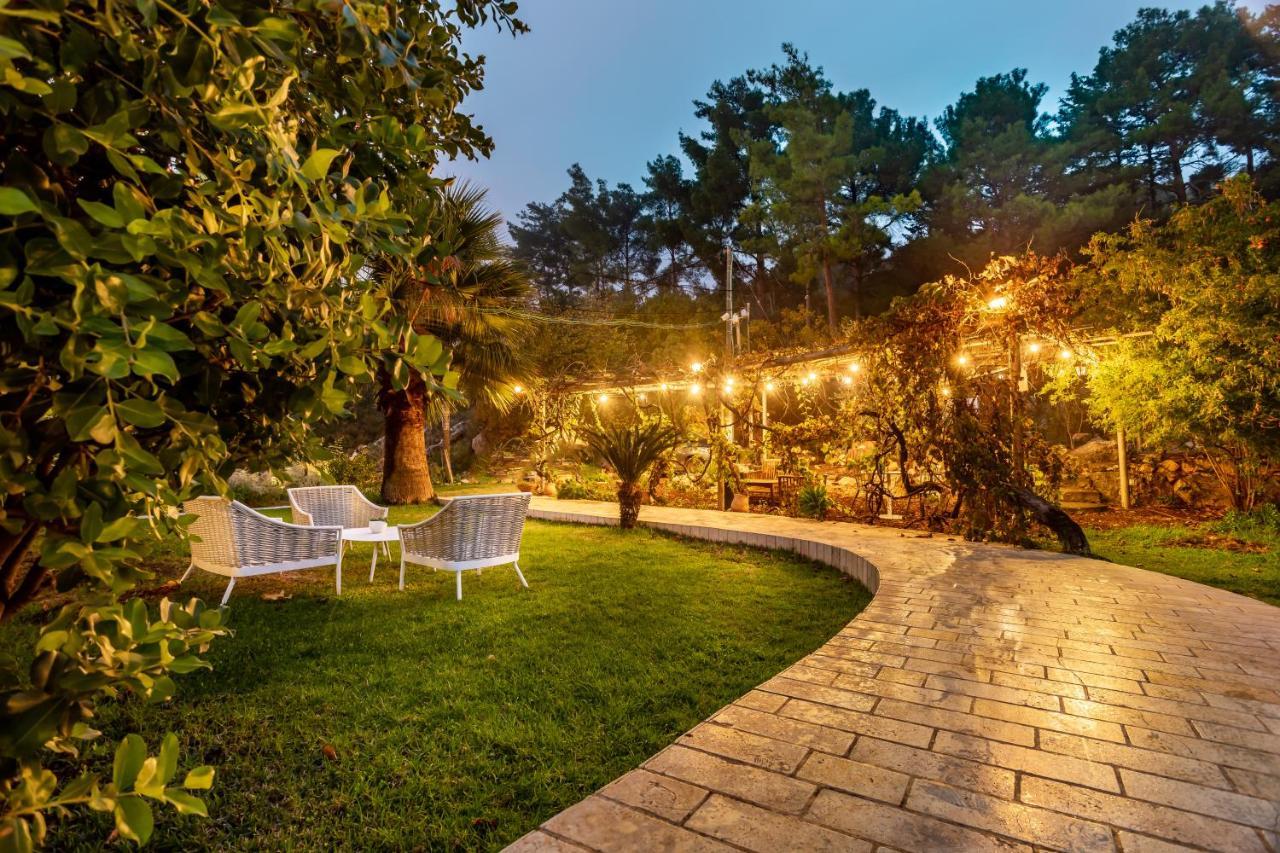 Amirey Hagalil Boutique Hotel Amirim Kültér fotó