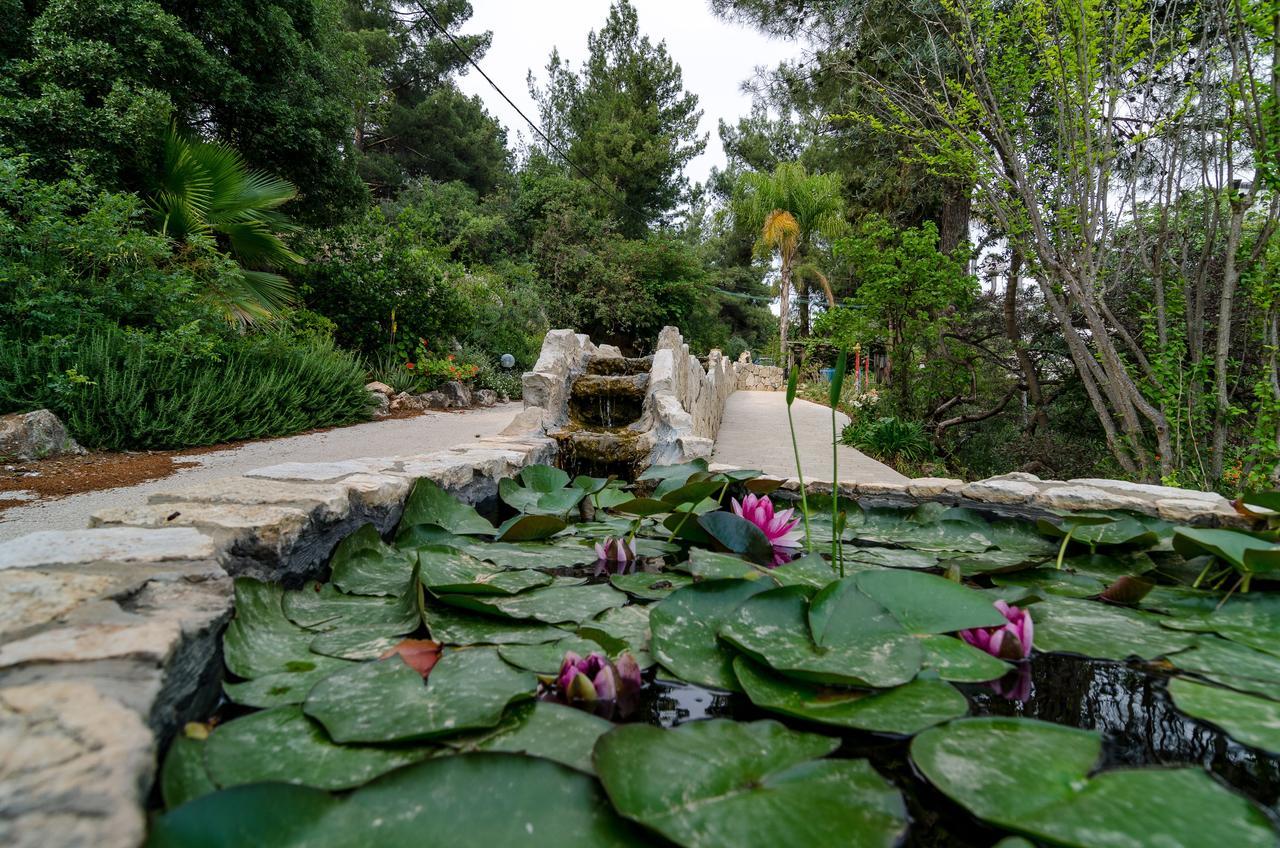 Amirey Hagalil Boutique Hotel Amirim Kültér fotó